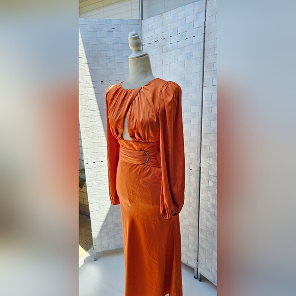 PETAL AND PUP MIDI DRESS - Picture 7 of 12